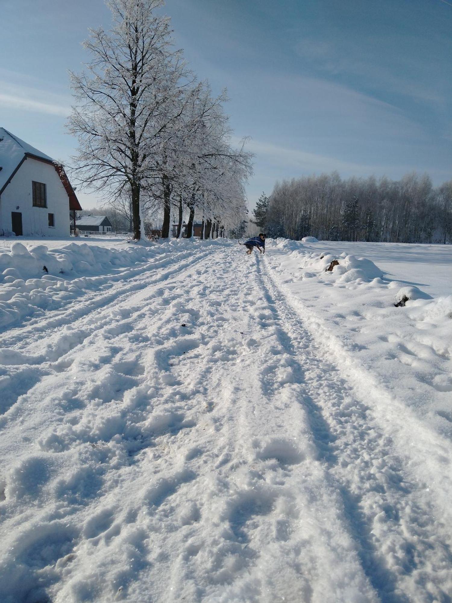 Domek Przy Stajni Bogdanowka Caloroczny Rossosz Bagian luar foto