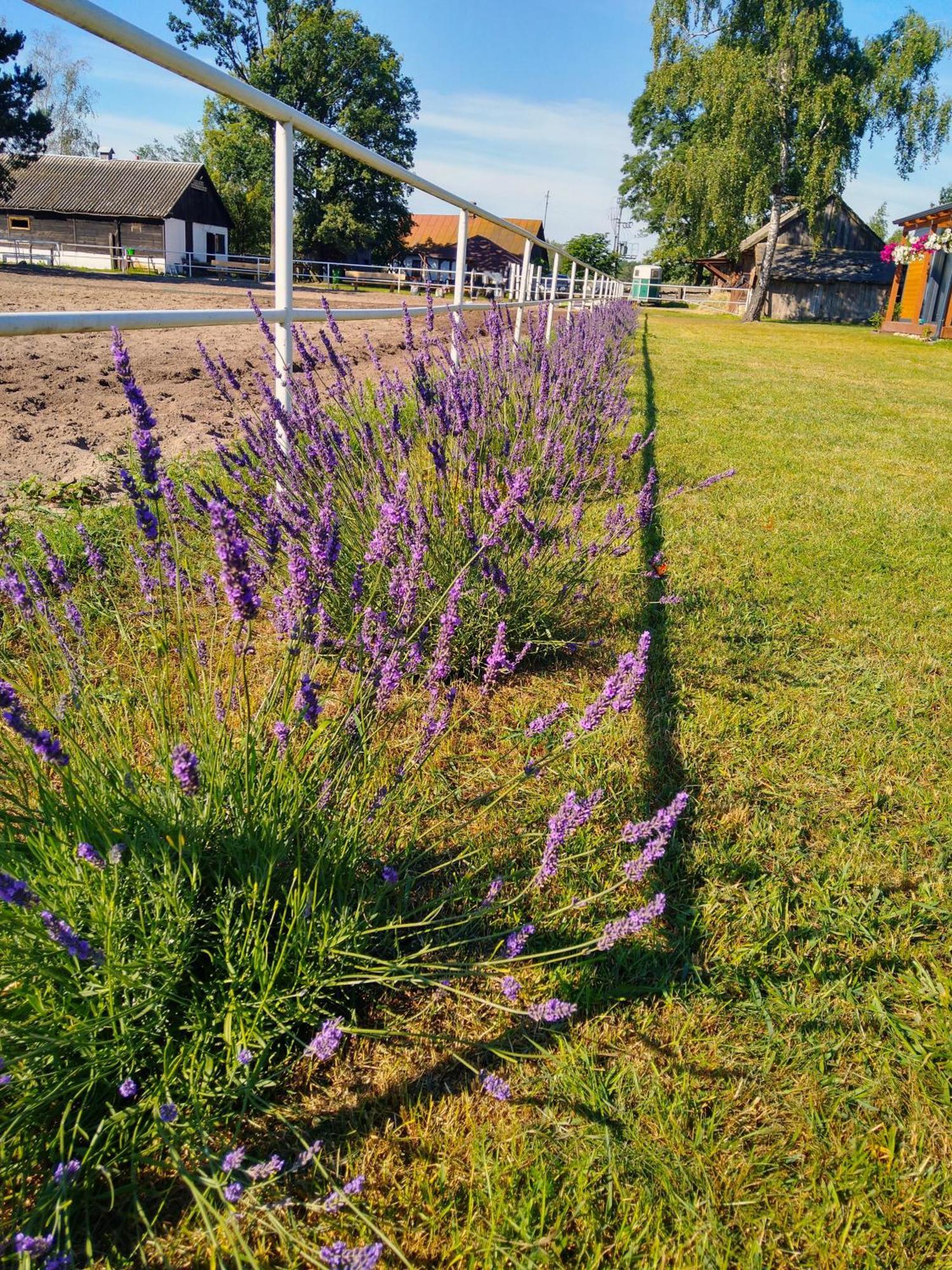 Domek Przy Stajni Bogdanowka Caloroczny Rossosz Bagian luar foto