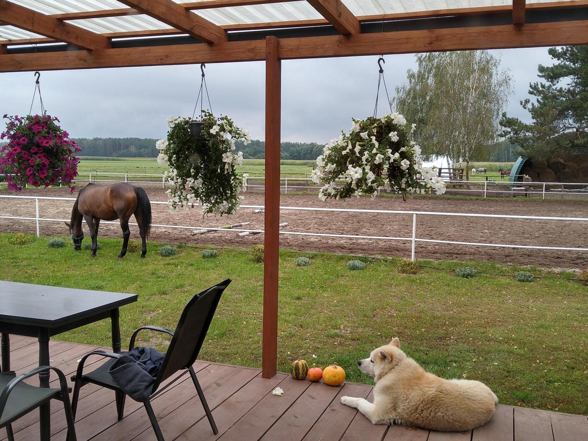 Domek Przy Stajni Bogdanowka Caloroczny Rossosz Bagian luar foto